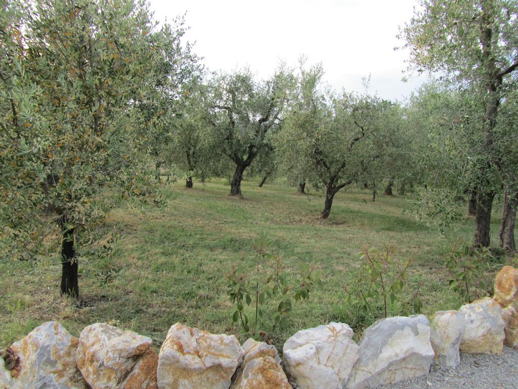 Agriturismo Borghetto Il Montino Rapolano Terme Luaran gambar