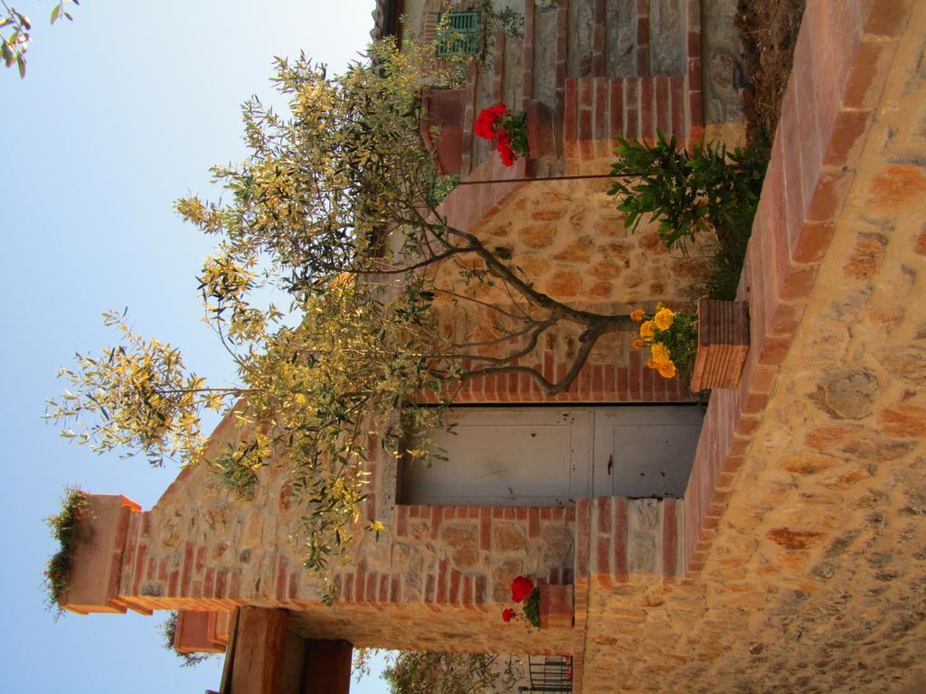Agriturismo Borghetto Il Montino Rapolano Terme Luaran gambar