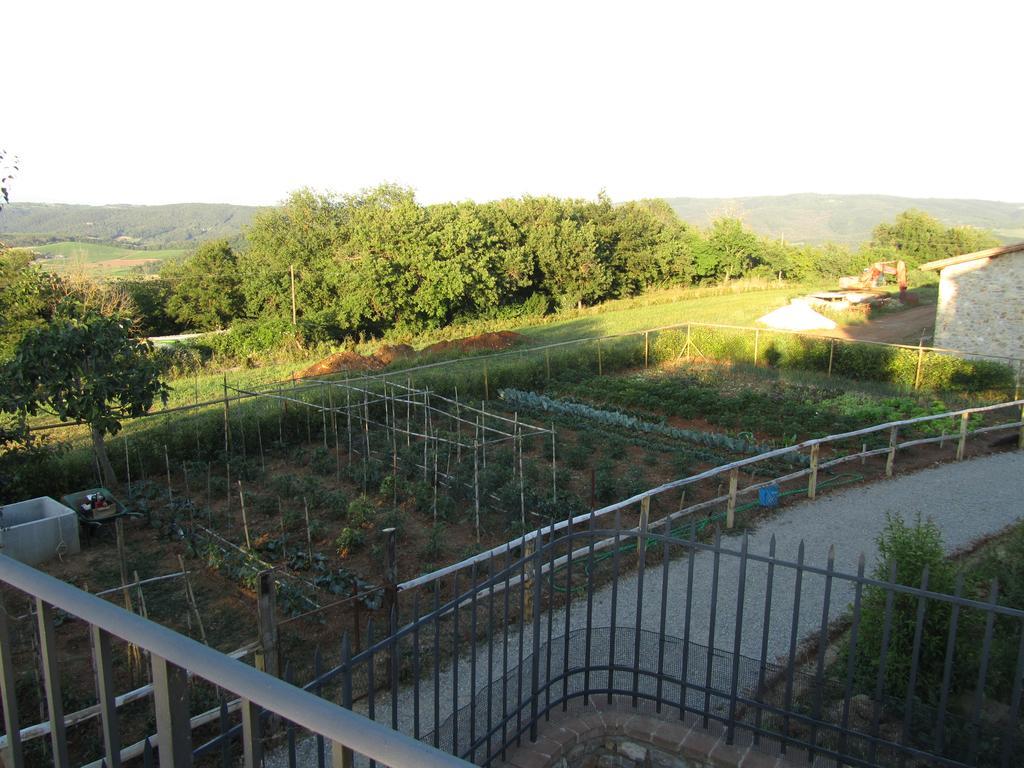 Agriturismo Borghetto Il Montino Rapolano Terme Luaran gambar