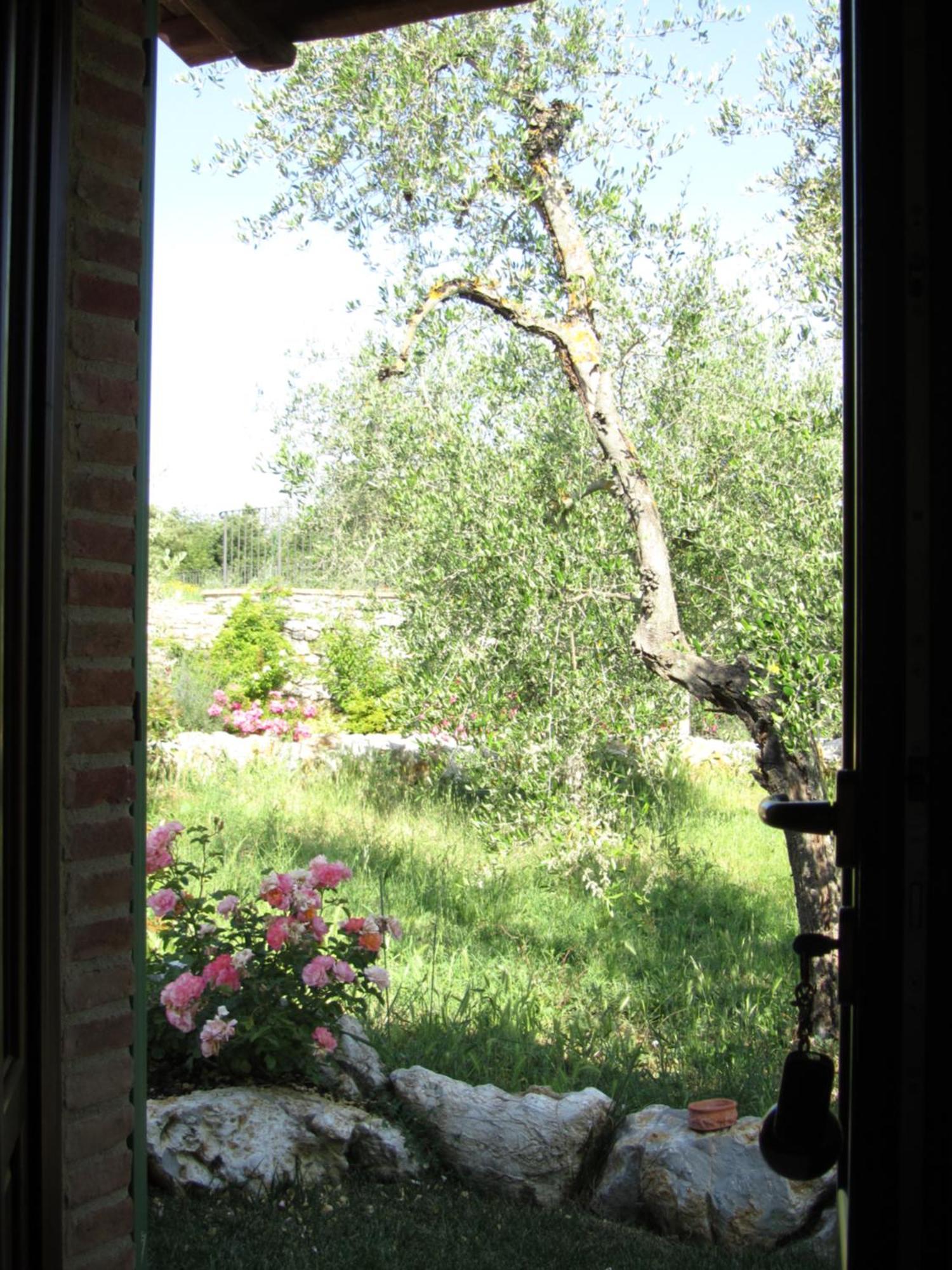 Agriturismo Borghetto Il Montino Rapolano Terme Luaran gambar