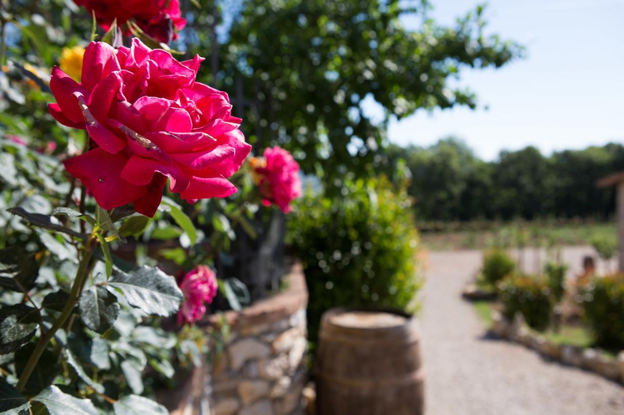 Agriturismo Borghetto Il Montino Rapolano Terme Luaran gambar