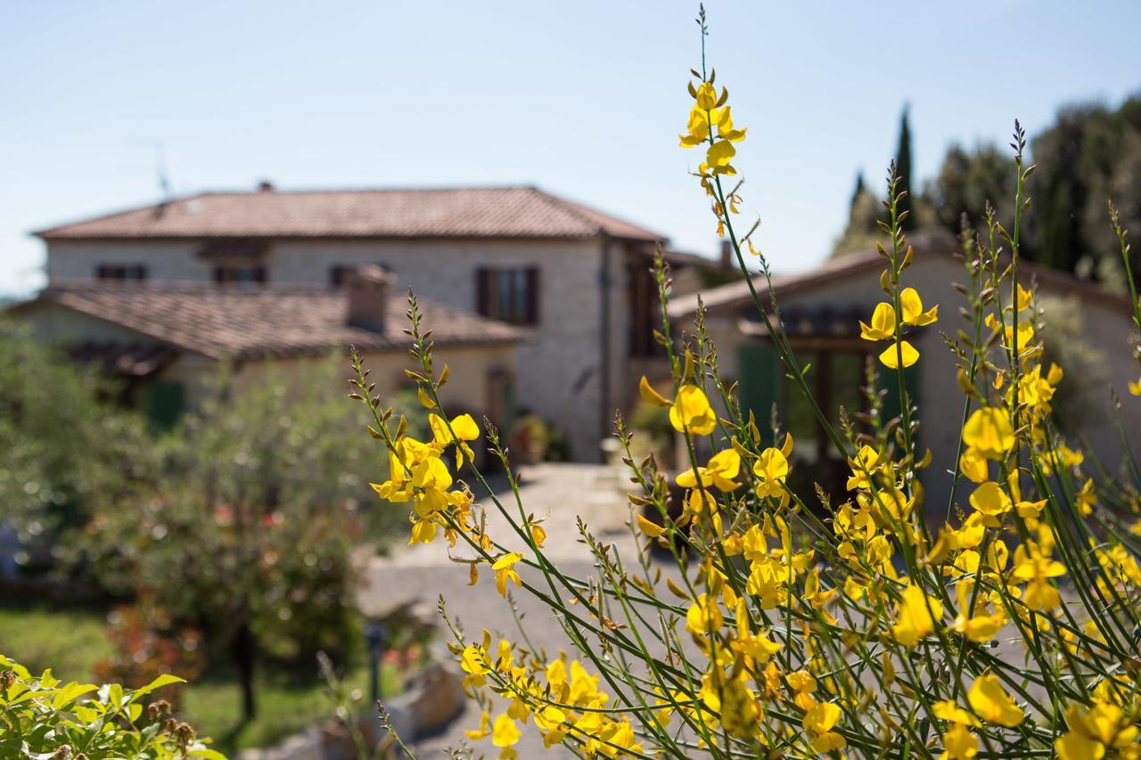 Agriturismo Borghetto Il Montino Rapolano Terme Luaran gambar